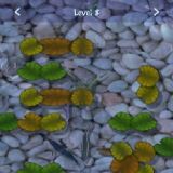 Dwonload Lily Pads Cell Phone Game